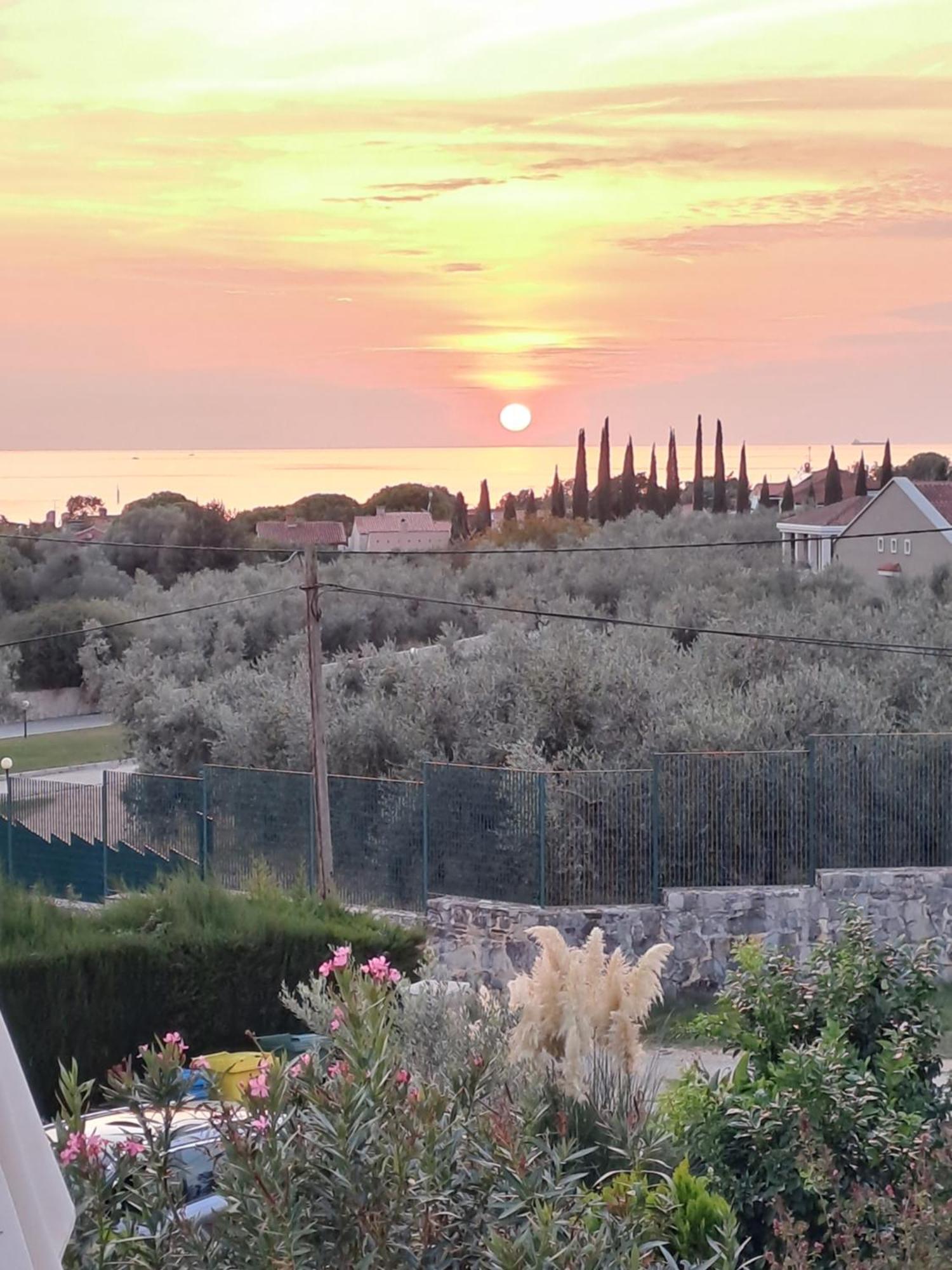 New Apartment Vivano Val With Amazing View Zambratija (Istria) Exterior foto